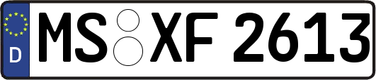 MS-XF2613