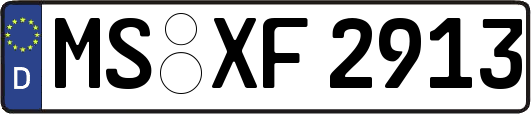 MS-XF2913