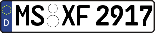 MS-XF2917