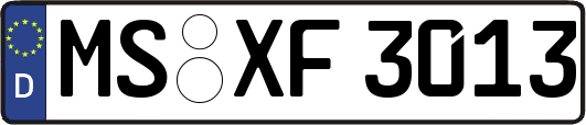 MS-XF3013