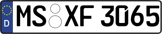 MS-XF3065