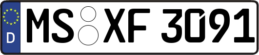 MS-XF3091