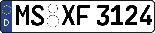 MS-XF3124