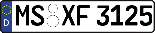 MS-XF3125