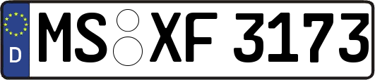 MS-XF3173