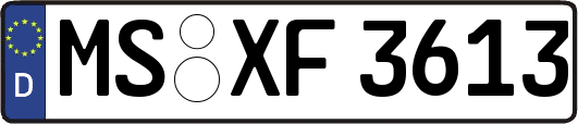 MS-XF3613