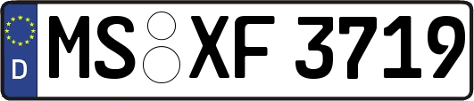 MS-XF3719