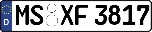 MS-XF3817