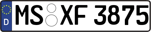 MS-XF3875