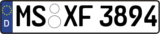 MS-XF3894