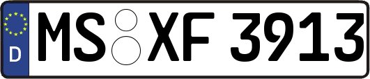MS-XF3913
