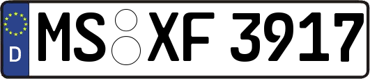 MS-XF3917
