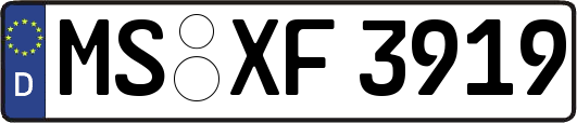 MS-XF3919