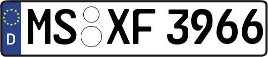 MS-XF3966