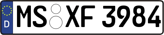 MS-XF3984