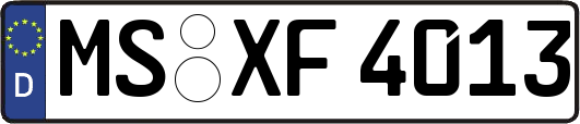 MS-XF4013