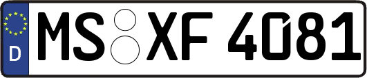 MS-XF4081
