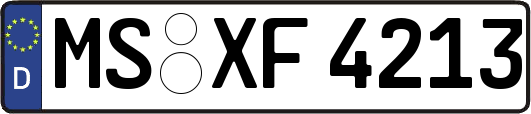 MS-XF4213