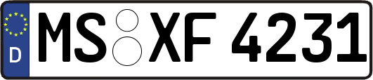 MS-XF4231