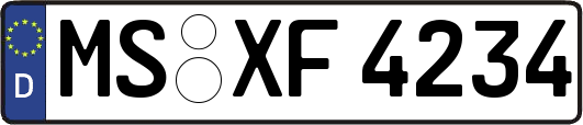 MS-XF4234