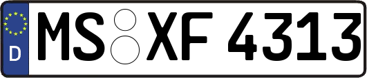 MS-XF4313