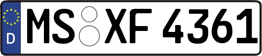 MS-XF4361