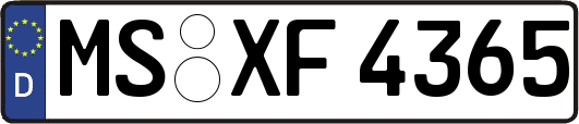 MS-XF4365