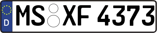 MS-XF4373