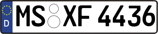 MS-XF4436