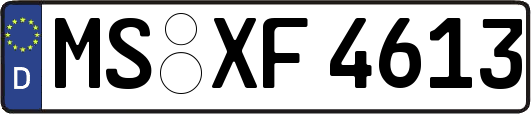 MS-XF4613