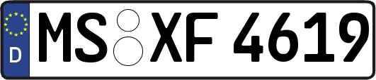 MS-XF4619