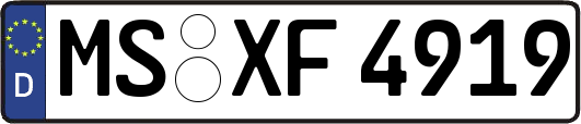 MS-XF4919