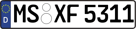MS-XF5311