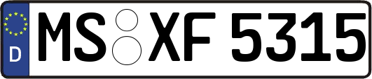 MS-XF5315