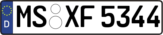 MS-XF5344