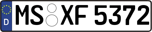 MS-XF5372