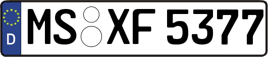 MS-XF5377