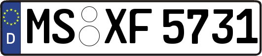 MS-XF5731