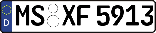 MS-XF5913