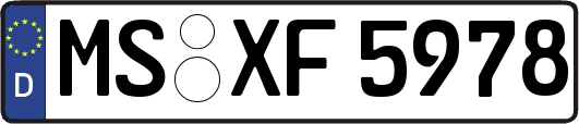 MS-XF5978