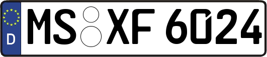 MS-XF6024