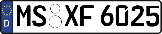 MS-XF6025