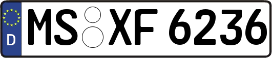 MS-XF6236