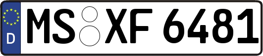 MS-XF6481