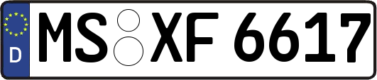 MS-XF6617