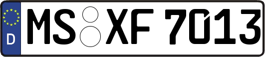 MS-XF7013