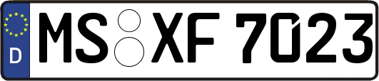 MS-XF7023