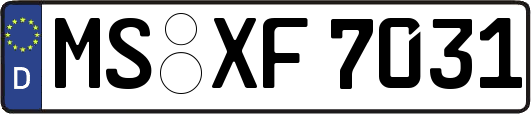 MS-XF7031