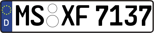 MS-XF7137