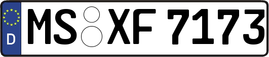 MS-XF7173